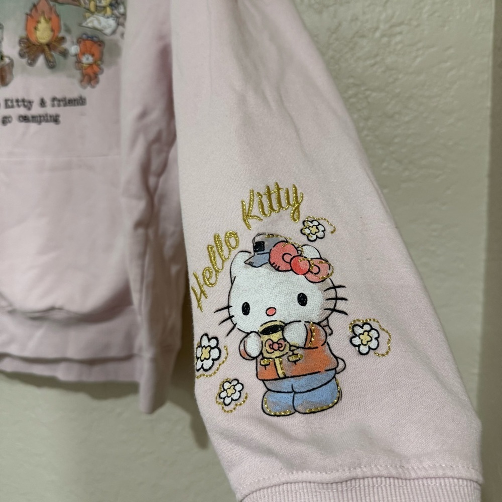 Hello Kitty & Friends Barely Pink Hoodie Size Large - Picture 3 of 6